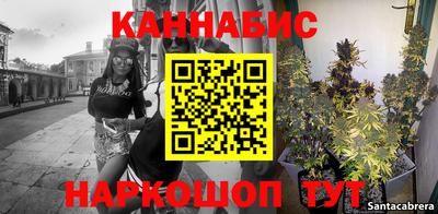сатива Кандалакша