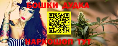 сатива Кандалакша