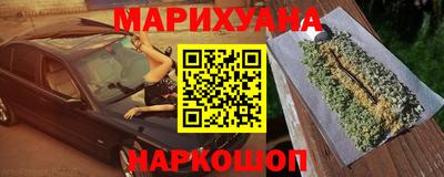 сатива Кандалакша