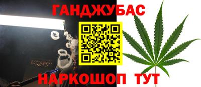 бошки Камышлов